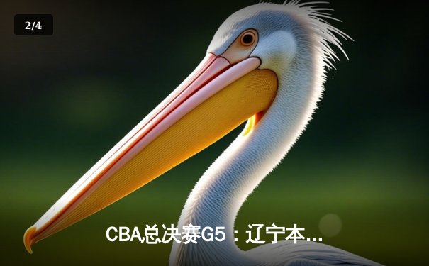 CBA总决赛G5：辽宁本钢加时险胜广东宏远 成功卫冕总冠军 - 2